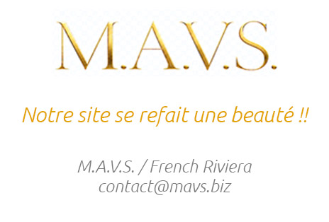 MAVS, votre conciergerie